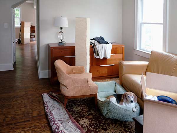 sofa furniture dresser appliance haul away